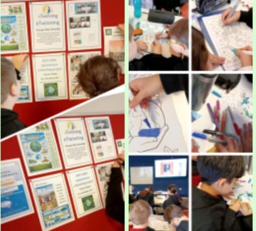 WhatsApp Image 2026-02-09 at 12.00.44